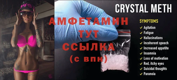 крисы Аркадак