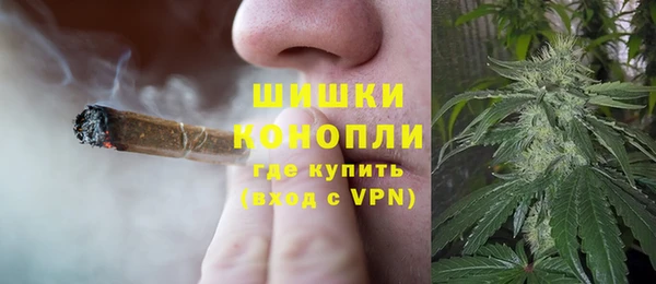 крисы Аркадак