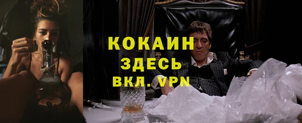 Альфа ПВП Арсеньев
